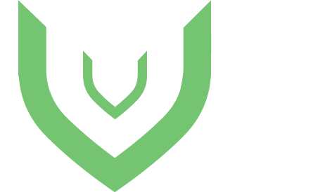 Logo VerticeB